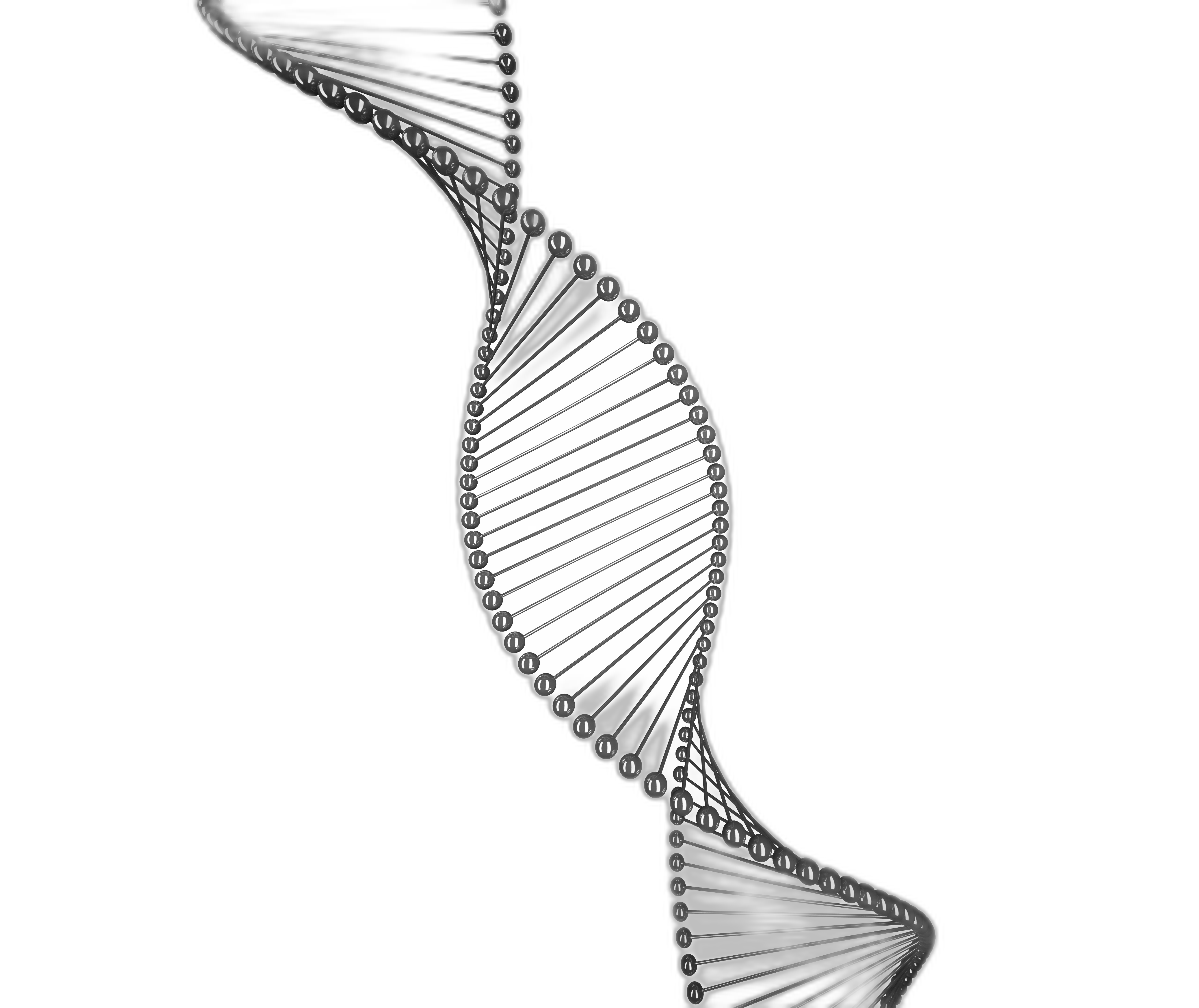 DNA helix